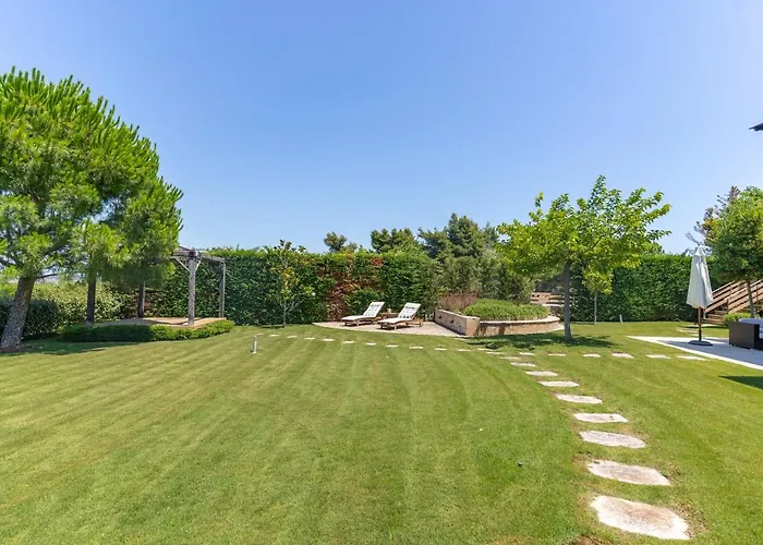 Sani Breeze By Halu! Сани-Бич