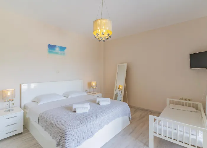 Sani Breeze By Halu!