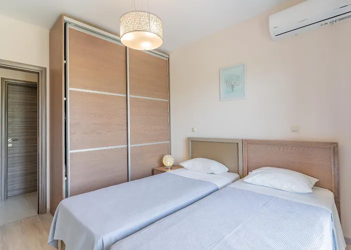 Sani Breeze By Halu! *