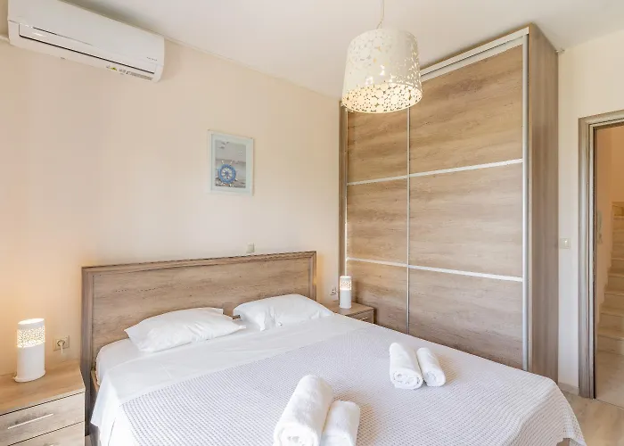 Sani Breeze By Halu!